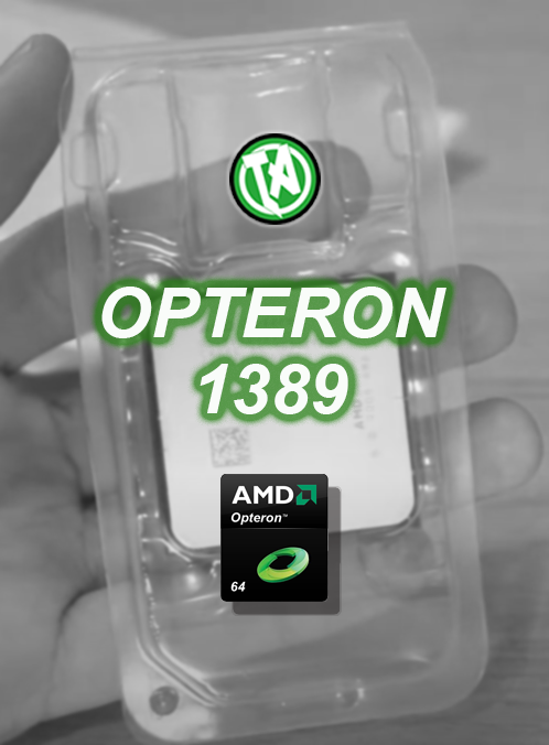 Capa AMD Opteron 1389